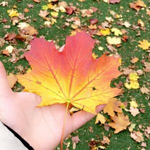 Meet your Posher, Kaur